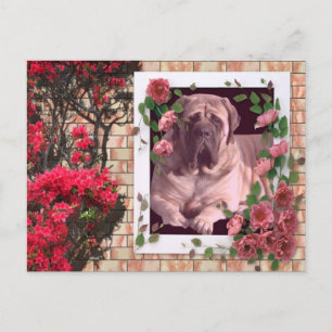 Mastiff Postkarte mit Blumen