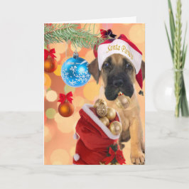 Mastiff Puppy frohe Weihnachten