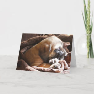 Mastiff Puppy "Miss You"-Karte Karte