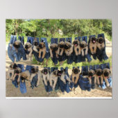 Mastiff Puppy Poster (Vorne)