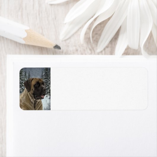 Mastiff-Rücksendeadresse (Insitu)