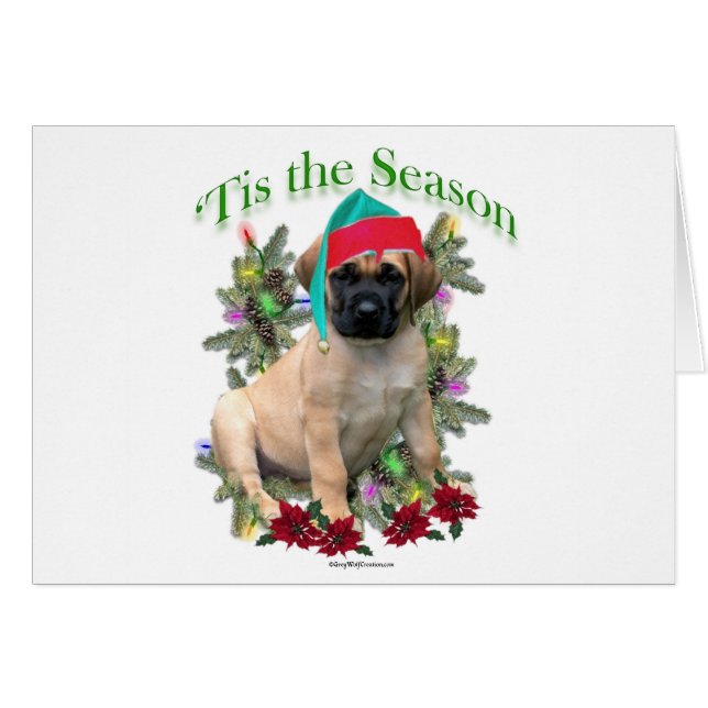 Mastiff "Tis (Vorderseite (Horizontal))