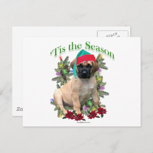 Mastiff "Tis Postkarte (Vorne/Hinten)