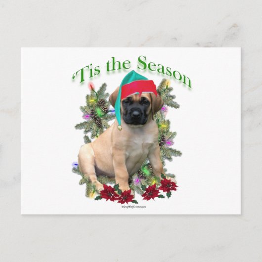 Mastiff "Tis Postkarte (Vorderseite)