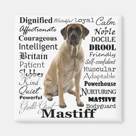 Mastiff Traits Magnet (Vorne)