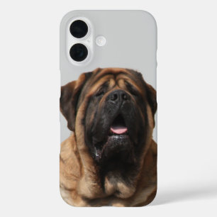 Mastiff Urlaub English Mastiff iPhone 16 Hülle