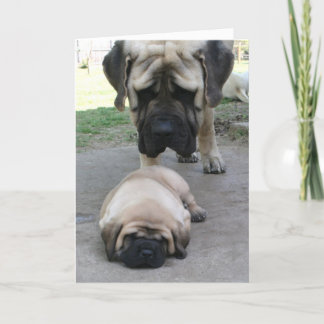 Mastiff Vater und Welpenvater Tageskarte Karte