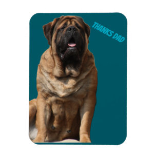Mastiff Vatertag Best Friends Magnet