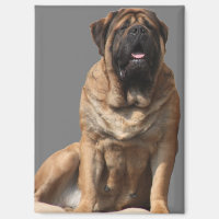 Mastiff Vatertag Best Friends