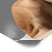 Mastiff Vatertag Best Friends Poster (Ecke)