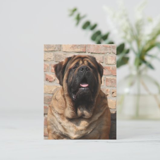 Mastiff Vatertag Best Friends  Postkarte (Stehend Vorderseite)