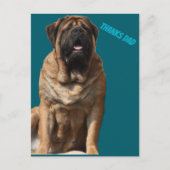 Mastiff Vatertag Best Friends Postkarte (Vorderseite)