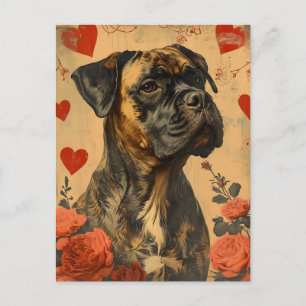 Mastiff Vintage Valentinstag  Postkarte