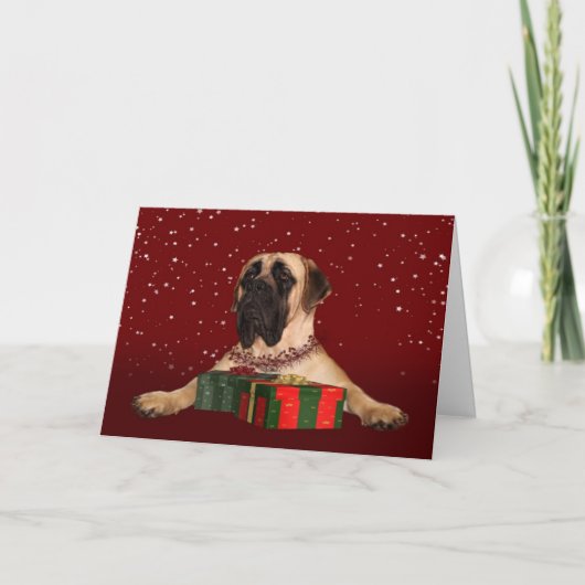 Mastiff-Weihnachten Feiertagskarte (Vorderseite)