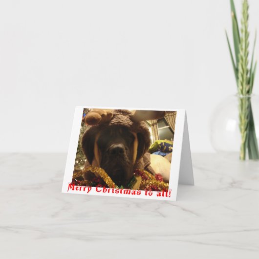Mastiff-Weihnachtskarte Feiertagskarte (Vorderseite)