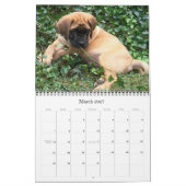 Mastiff Welppies Calendar Kalender (Mär 2027)