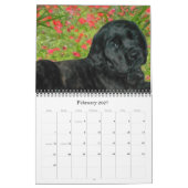 Mastiff Welppies Calendar Kalender (Feb 2027)