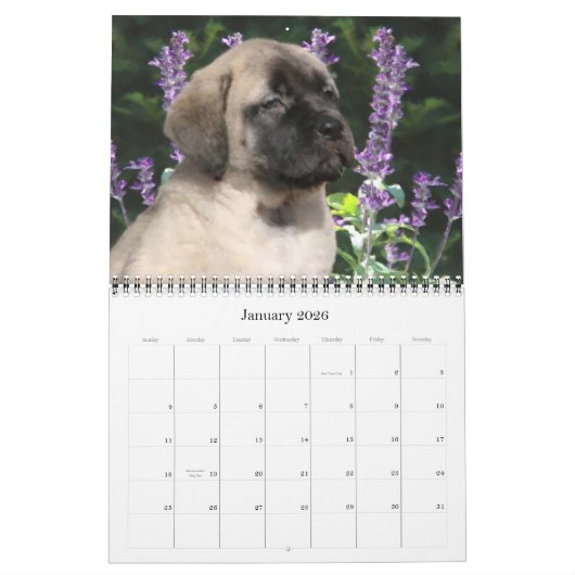 Mastiff Welppies Calendar Kalender (Jan 2026)