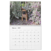 Mastiffkalender Kalender (Feb 2027)