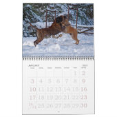 Mastiffs Kalender (Jan 2027)