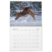 Mastiffs Kalender (Jan 2026)