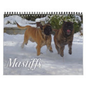 Mastiffs Kalender (Titelbild)