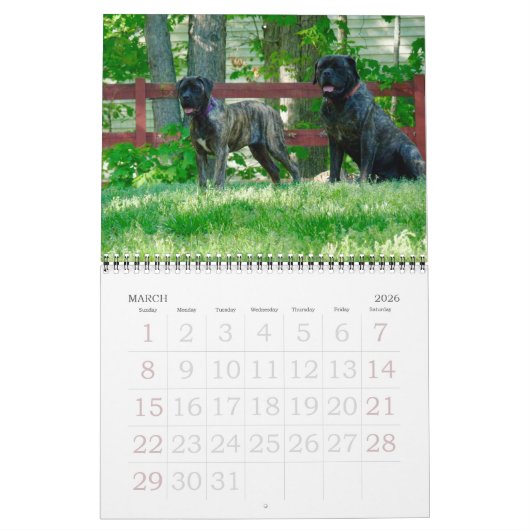 Mastiffs Kalender (Mär 2026)