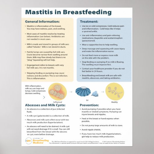 Mastitis in der Stillzeit Poster (Englisch) (Vorne)
