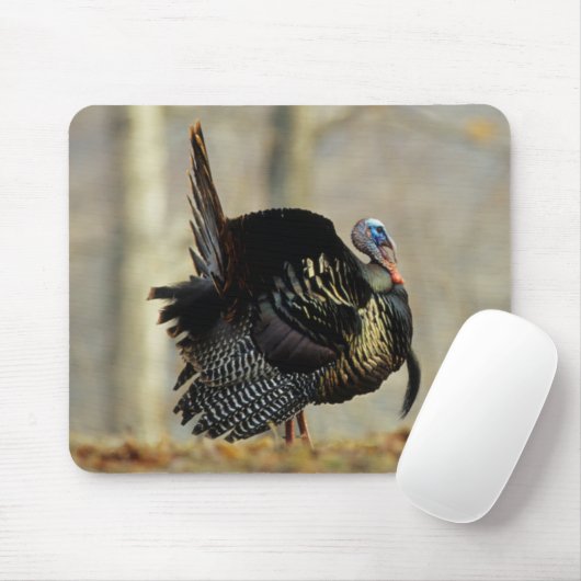 Masttruthühner, Illinois Mousepad (Mit Mouse)
