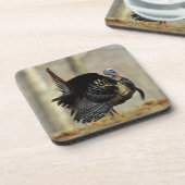 Masttruthühner, Illinois Untersetzer (Linke Seite)