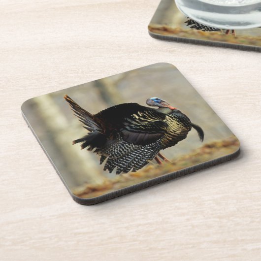 Masttruthühner, Illinois Untersetzer (Linke Seite)