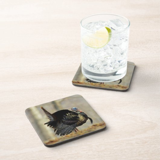 Masttruthühner, Illinois Untersetzer (Rechte Seite)