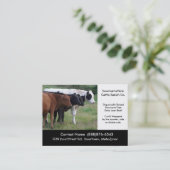 Mastvieh, die Visitenkarte bewirtschaften oder (Stehend Vorderseite)