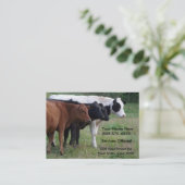 Mastvieh-Tierarzt oder Befruchtungs-Service-Karte Visitenkarte (Stehend Vorderseite)