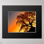 Matabei-Zakura: Kirschbaum wischen Poster (Vorne)