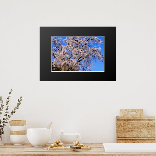 Matabei-Zakura: Kirschbaum wischen Poster (Küche)