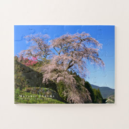 Matabei-Zakura: Kirschbaum wischen Puzzle