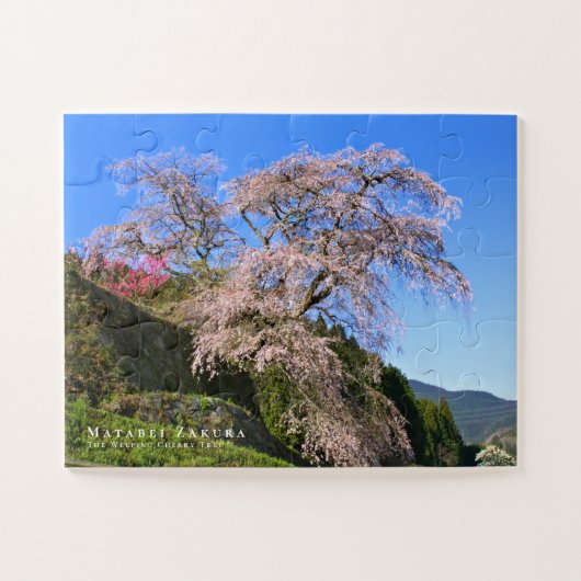 Matabei-Zakura: Kirschbaum wischen Puzzle (Horizontal)