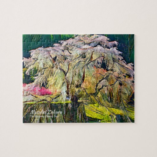 Matabei-Zakura: Kirschbaum wischen Puzzle (Horizontal)