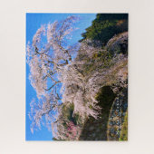 Matabei-Zakura: Kirschbaum wischen Puzzle (Vertikal)