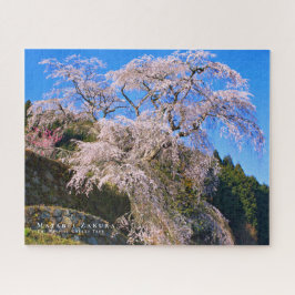 Matabei-Zakura: Kirschbaum wischen Puzzle