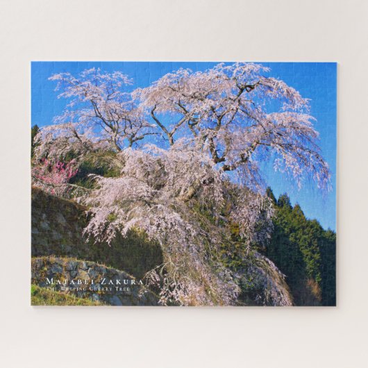 Matabei-Zakura: Kirschbaum wischen Puzzle (Horizontal)