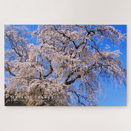 Matabei-Zakura: Kirschbaum wischen Puzzle (Horizontal)