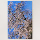 Matabei-Zakura: Kirschbaum wischen Puzzle (Vertikal)