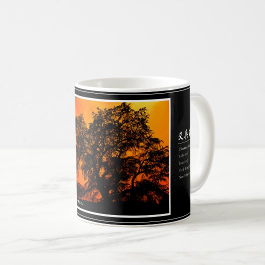 Matabei-Zakura Weeping Cherry Tree Kaffeetasse (VorderseiteRechts)