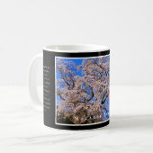 Matabei-Zakura Weeping Cherry Tree Kaffeetasse (Vorderseite Links)