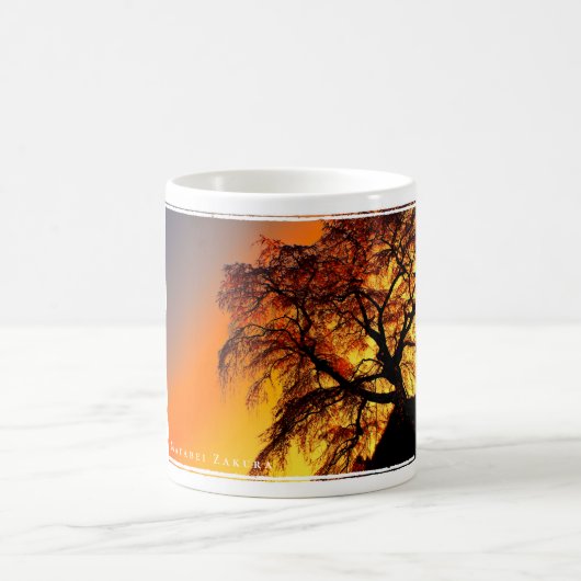 Matabei-Zakura Weeping Cherry Tree Kaffeetasse (Mittel)
