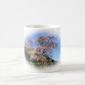Matabei-Zakura Weeping Cherry Tree Kaffeetasse (Mittel)