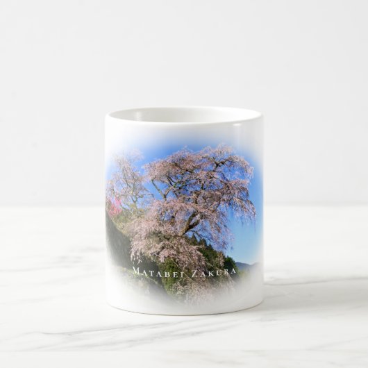 Matabei-Zakura Weeping Cherry Tree Kaffeetasse (Mittel)