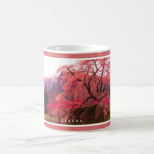 Matabei-Zakura Weeping Cherry Tree Kaffeetasse (Mittel)